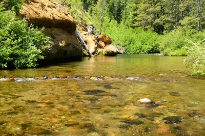 DSC_0231 (Large).JPG